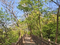 -南山健身公园