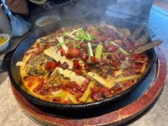 -老板恋上鱼(恒隆广场店)