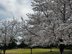 -苏州上方山国家森林公园