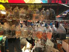 -华声天桥民俗文化园