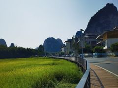 -明仕田园