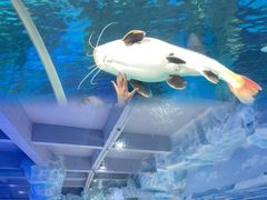 -泉城欧乐堡海洋极地世界