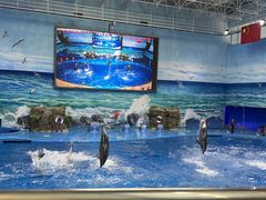 -多彩贵州城极地海洋世界