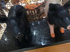 -郑庄脂渣海鲜楼(九水路店)