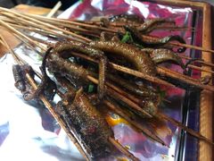 -晓靖轩烧烤(沙河风情店)