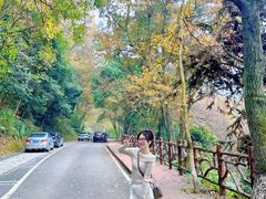 -广州市石门国家森林公园