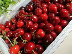 -尹三豆汁(前门旗舰店)