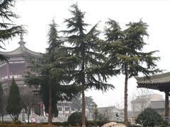 -法门文化景区