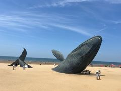 -烟台金沙滩海滨公园