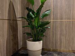 -王品牛排(常州吾悦广场店)