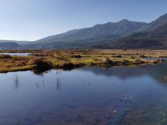 -腾冲北海湿地