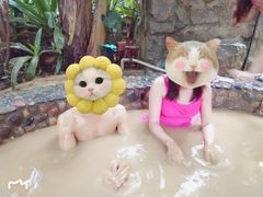 -100蛋泥浆浴