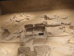 -洛阳周王城天子驾六博物馆