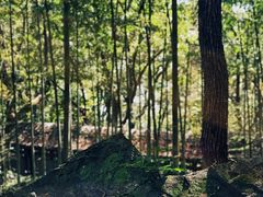 -严子陵钓台(富春江小三峡)