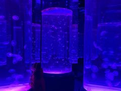 -海合安武汉极地海洋公园
