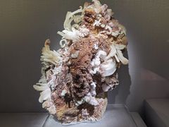 -湖南省地质博物馆