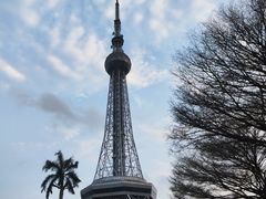 -文华公园(禅城区)