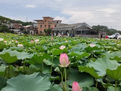 -良溪古村