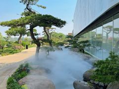 -罗红摄影艺术馆