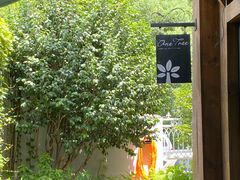 -一棵树·意大利西餐厅One Tree(新城店)