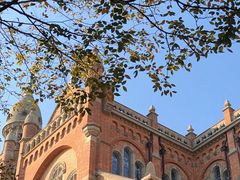 -上海佘山国家森林公园西佘山园