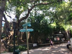 -九龙公园
