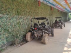 -天下先生态园农庄CS团建露营地(海鸥岛店)