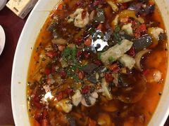 -鸢飞潍坊菜馆(鸢飞大酒店)