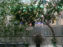 -绿岛港轩海鲜烤肉涮锅自助餐厅