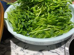 活体豆苗-京元盛铜锅涮肉(上海总店)