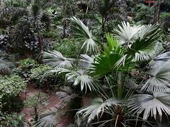 -黑龙江中医药大学附属第一医院