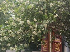 -哈尔滨极乐寺