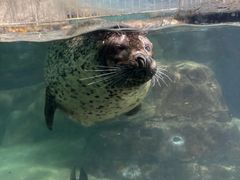 -福州罗源湾海洋世界旅游区
