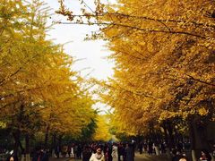 -辽宁大学(崇山校区)