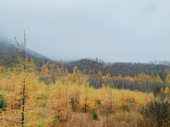 -塞罕坝国家级自然保护区