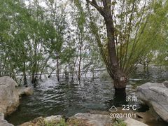 -济南国际园博园