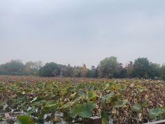 -云龙湖旅游景区