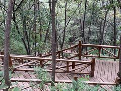 -大岭沟猕猴桃谷风景区