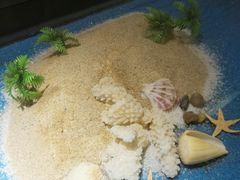 -九九私厨(石溪店)