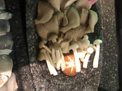 -哥老官重庆美蛙鱼头(宝山龙湖店)