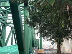 -厦门五通客运码头