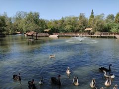 -溱湖国家湿地公园