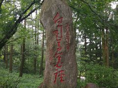 -庐山风景区花径公园