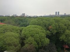 -天津燕园国际大酒店