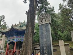 -关林