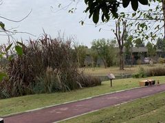 -夏河溪乡野公园
