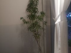 -左悦·艾灸调理·推拿按摩·精油SPA(卓悦汇店)