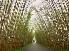 -婺源梦里老家大型山水实景演出