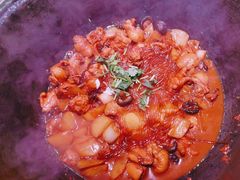 -和晟shèng铁锅炖·东北菜(南山店)