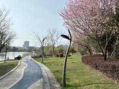 -映月湖中央公园